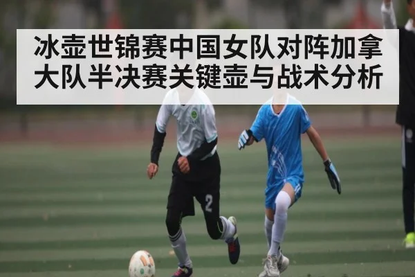 冰壶世锦赛中国女队对阵加拿大队半决赛关键壶与战术分析 - KAIYUN SPORTS